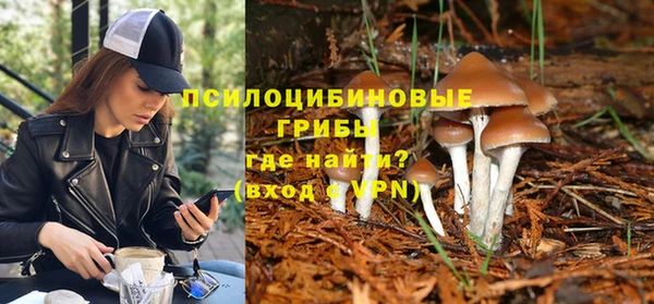ешки Абдулино
