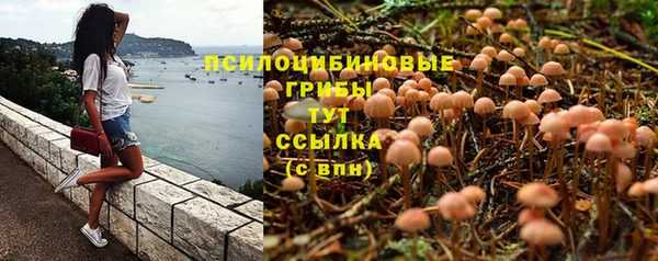 ешки Абдулино