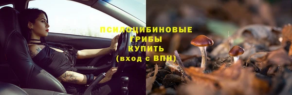 хмурый Абинск