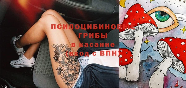 apvp Абаза