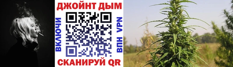 кракен маркетплейс  Новочебоксарск  Канабис White Widow  магазин продажи  